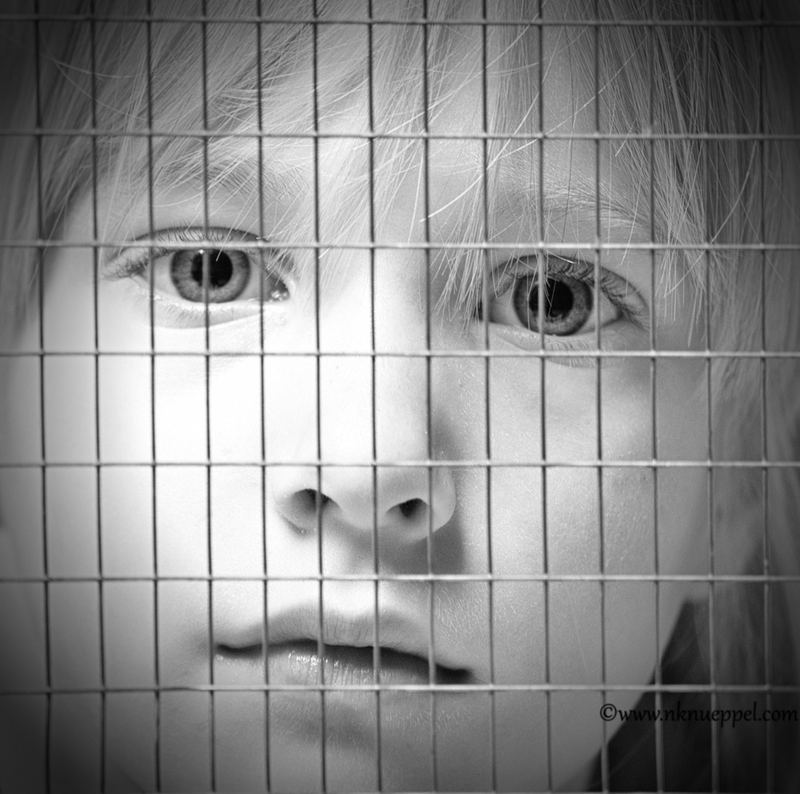 Confinement – 8