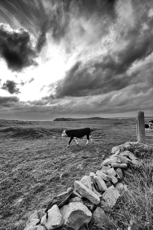 Countryside – 3