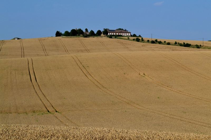 Countryside – 16