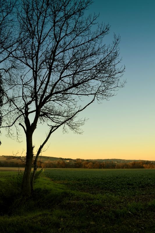 Countryside – 21