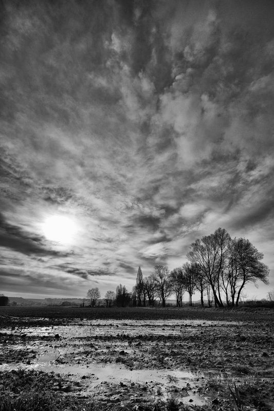 Countryside – 23