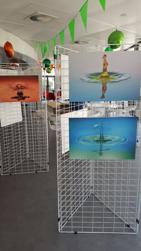 Exhibitions – 2
