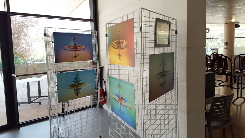 Exhibitions – 5