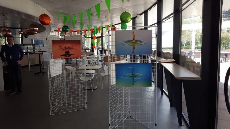 Exhibitions – 6