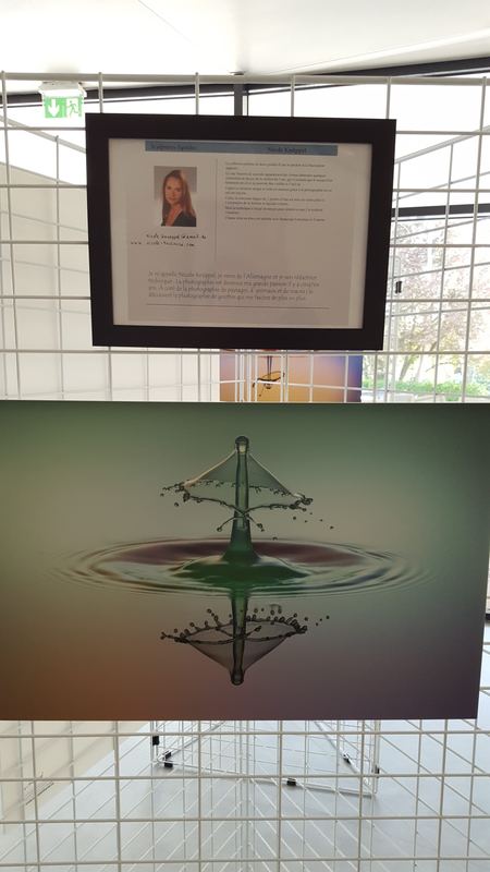 Exhibitions – 7