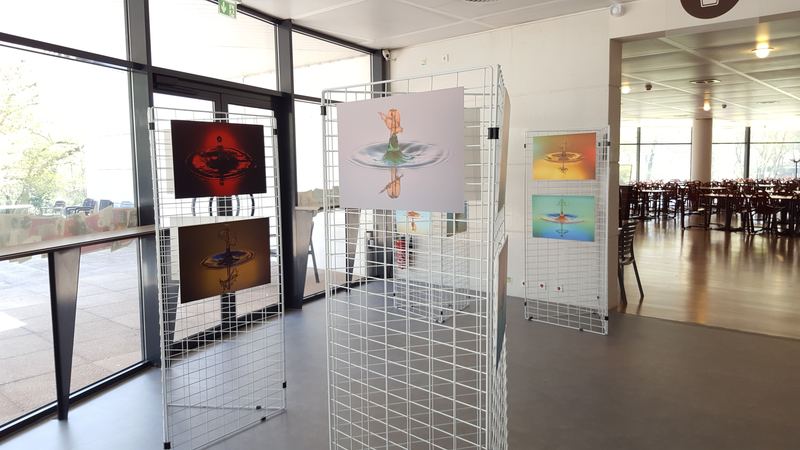 Exhibitions – 8