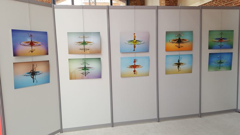 Exhibitions – 11