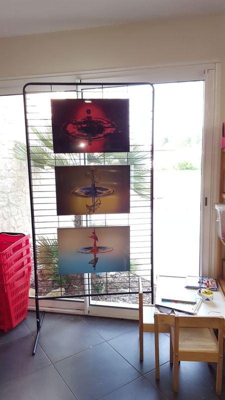 Exhibitions – 13