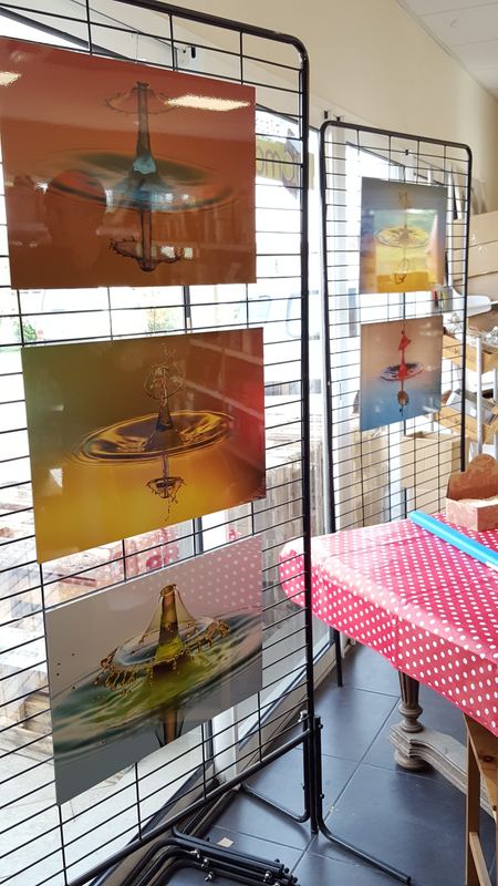Exhibitions – 15