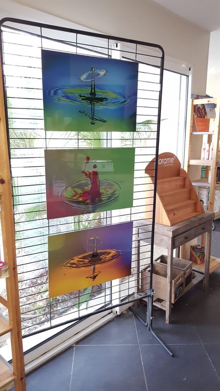 Exhibitions – 16
