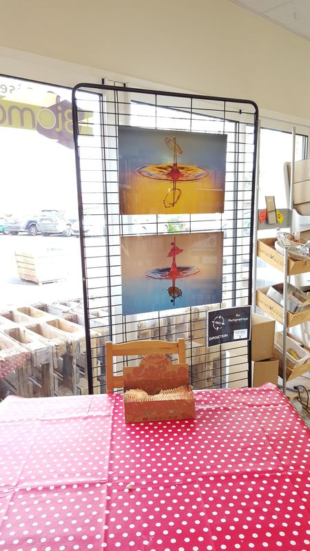 Exhibitions – 17