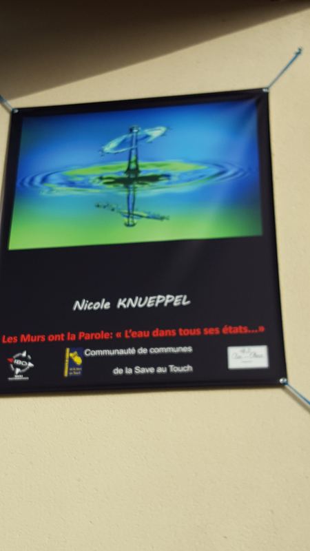 Exhibitions – 22