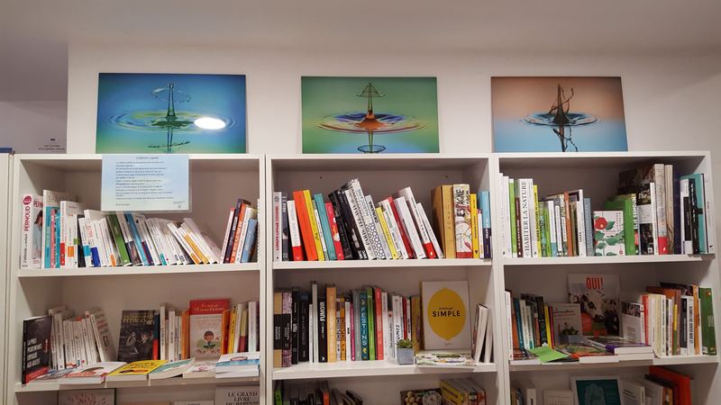 Exhibitions – 29