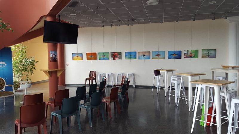 Exhibitions – 32