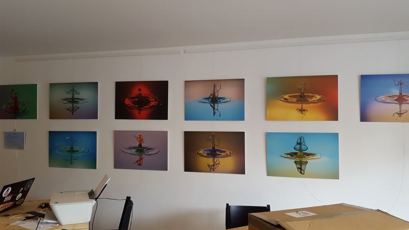 Exhibitions – 33