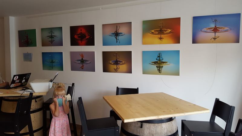 Exhibitions – 34