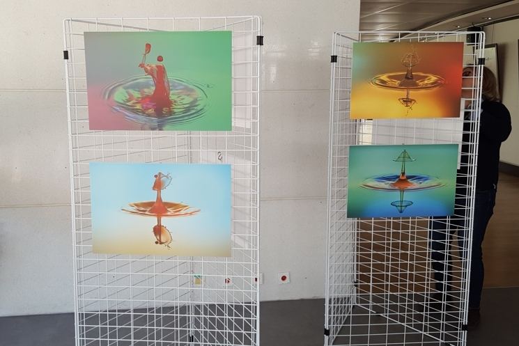 Exhibitions – 37