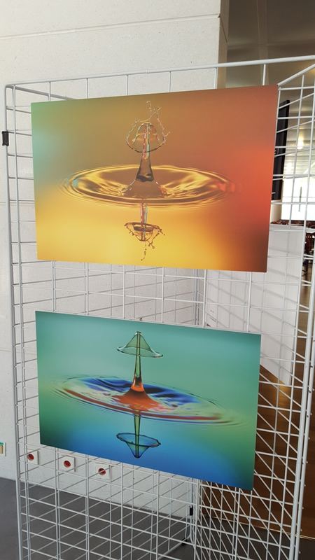 Exhibitions – 38