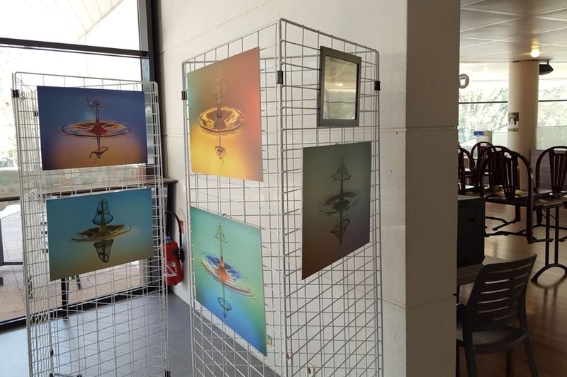 Exhibitions – 39