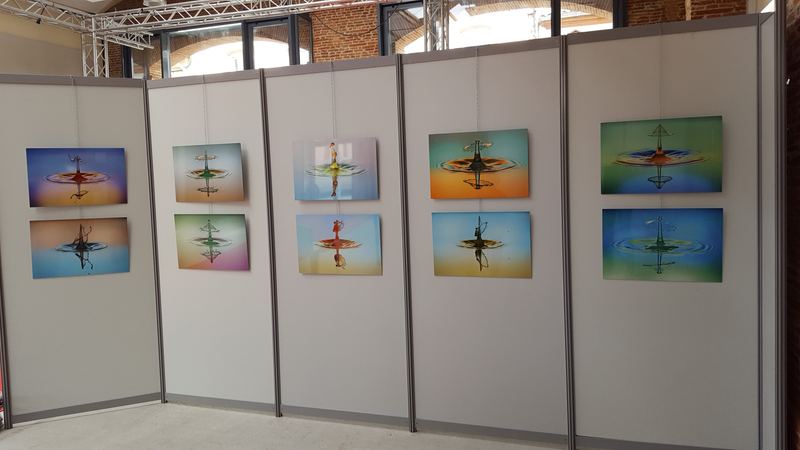 Exhibitions – 41