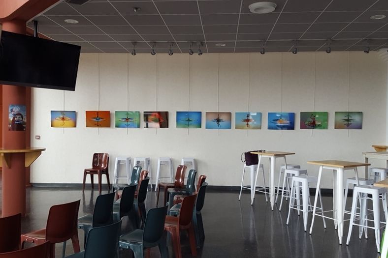 Exhibitions – 48