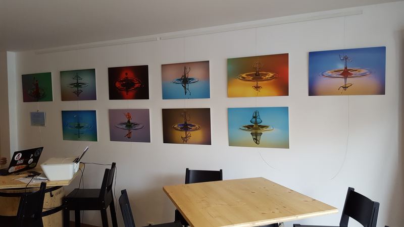 Exhibitions – 49