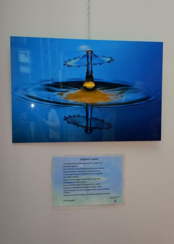 Exhibitions – 35