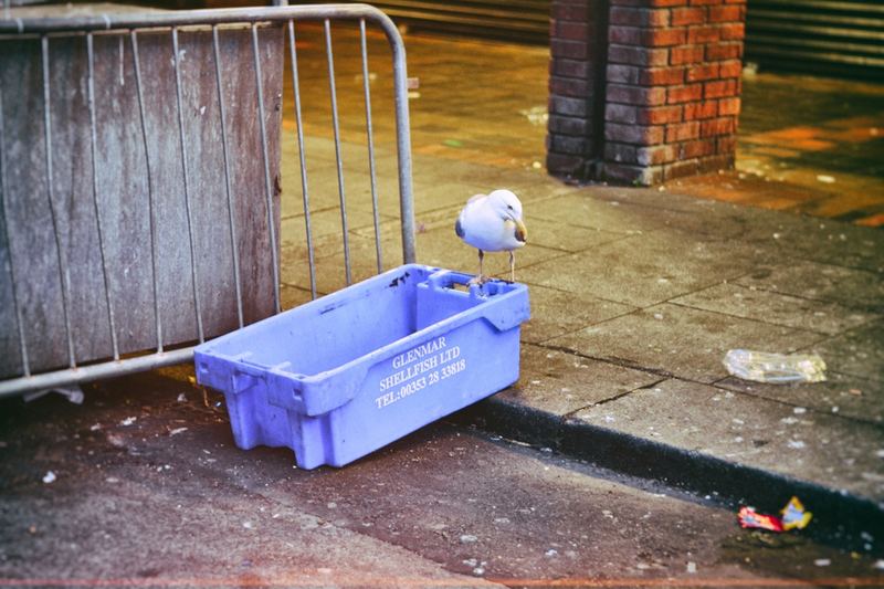 In the City – 45