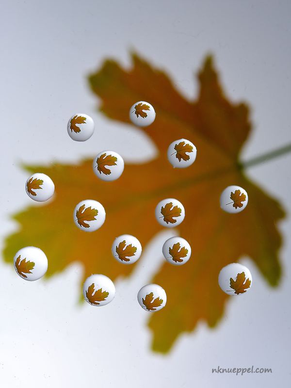 Macro – 3