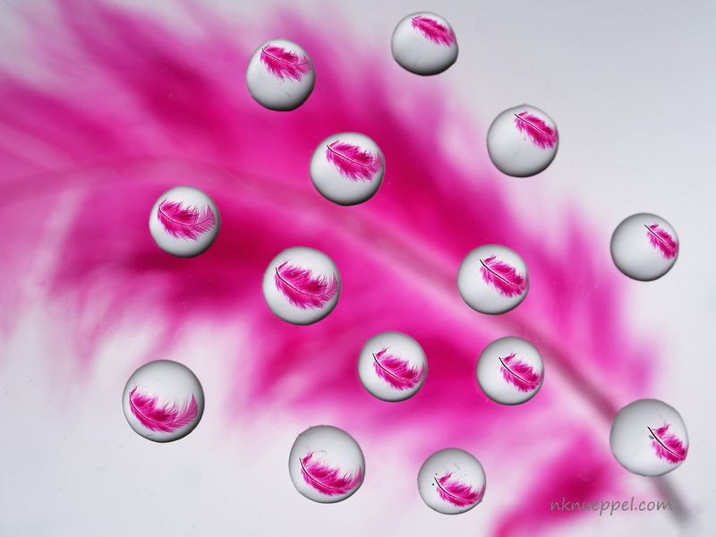 Macro – 1