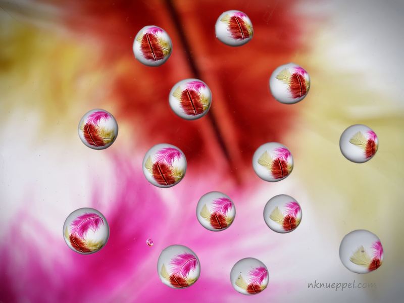 Macro – 4